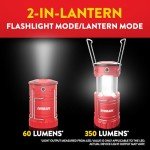 Eveready 3-Pack LED Camping Lanterns – Bright & Waterproof
