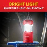 Eveready 3-Pack LED Camping Lanterns – Bright & Waterproof