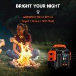 300W Portable Power Station for Home and Travel