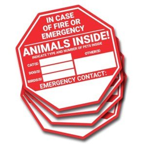 Pet Rescue Window Stickers - 4 Pack