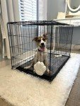 Pet Smoke Detector for Emergency Rescue