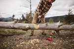 Zippo 3-in-1 Multi-Tool Axe and Saw