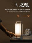 Lepwings 2-in-1 Solar Camping Lantern & Charger
