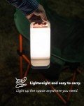 Lepwings 2-in-1 Solar Camping Lantern & Charger