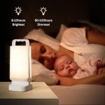 Lepwings 2-in-1 Solar Camping Lantern & Charger
