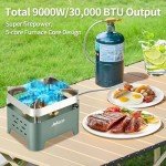 Portable 9000W Propane Camping Stove with Accessories