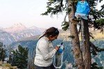 Sawyer Gravity Water Filter System - One Gallon