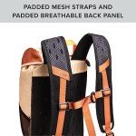 Lightweight Daypack and Hydration Pack for Outdoors
