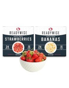 ReadyWise 48-Serving Freeze-Dried Emergency Food Kit