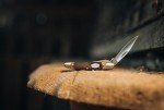 Stainless Steel Folding Pocket Knife for Outdoor Use