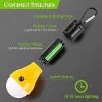 Portable LED Lanterns for Hurricane Emergency Kits