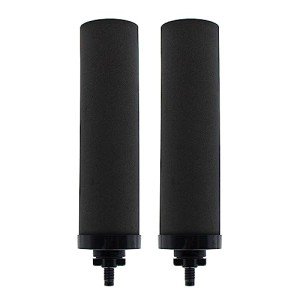 Berkey® 1 Micron Replacement Water Filters - 2 Pack