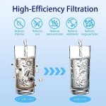 Berkey® 1 Micron Replacement Water Filters - 2 Pack