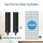 Aqua Crest Gravity Water Filter System for Emergencies