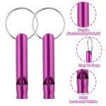 Aluminum Emergency Whistle Keychain - 12 Pack