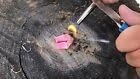 Fire Starter Plugs - Waterproof & Windproof (28 Pack)