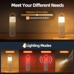 Dawnrise 350-Hour LED Camping Lantern for Emergencies