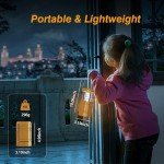 Emergency Solar Hand Crank LED Lantern & Flashlight