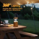 Emergency Solar Hand Crank LED Lantern & Flashlight