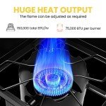VIVOHOME Outdoor Dual Propane Stove for Camping