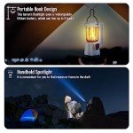 Rechargeable LED Camping Lantern and Flashlight