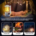 Rechargeable LED Camping Lantern and Flashlight