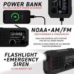 Deluxe 72-Hour Emergency Survival Kit for 4