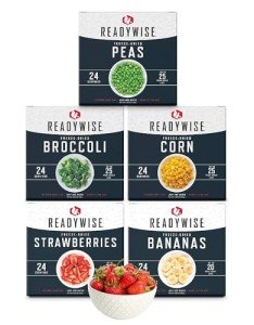 ReadyWise 120 Servings Emergency Food Kit