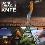 Damascus Fixed Blade Knife with Holster for Outdoors
