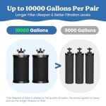 Gravity Water Filtration System with Level Window