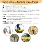 Premium Emergency Whistles with Lanyard - 2 Pack