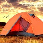 Lightweight Waterproof 2/4 Person Camping Tent