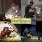AlpsWolf Rechargeable LED Camping Lanterns - 2 Pack