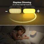 Rechargeable LED Lantern with Hand-Crank for Emergencies
