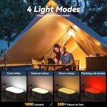Rechargeable LED Lantern with Hand-Crank for Emergencies