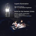 Adjustable Brightness 4-Pack Waterproof Camping Lanterns