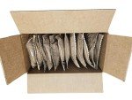 MRE Dessert Sampler - 12 Pack