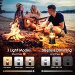 4 Pack LED Lanterns – Dimmable & Portable Emergency Light