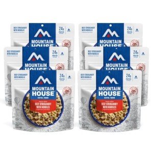 Beef Stroganoff with Noodles | Emergency Food Pack