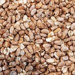 Essential 7-Piece Emergency Food Supply Kit