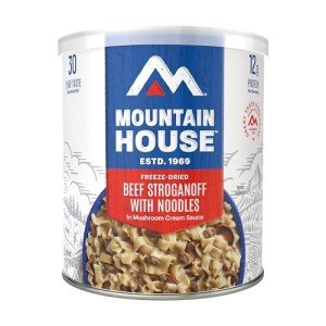 Beef Stroganoff with Noodles - Emergency Food Kit