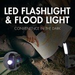 Tenergy Hand Crank Weather Radio with Flashlight & SOS