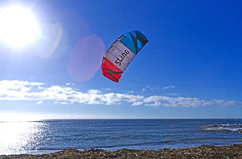 Sting Stunt Kite - 2.6m Quad Line