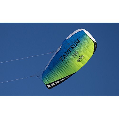 Dual-line Parafoil Kite with Control Bar - Breeze Surf Club