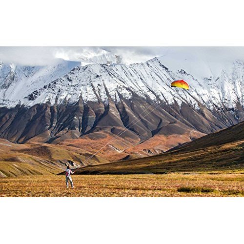 Dual-line Parafoil Kite with Control Bar - Breeze Surf Club