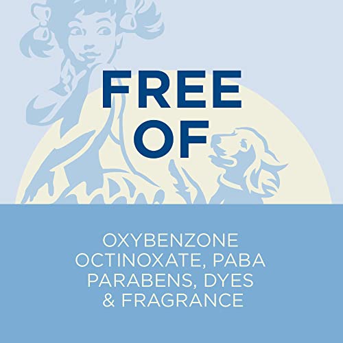 Bulk 3-Pack Zinc Oxide Sunscreen Spray SPF 50