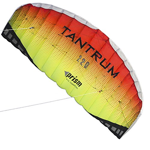 Dual-line Parafoil Kite with Control Bar - Breeze Surf Club