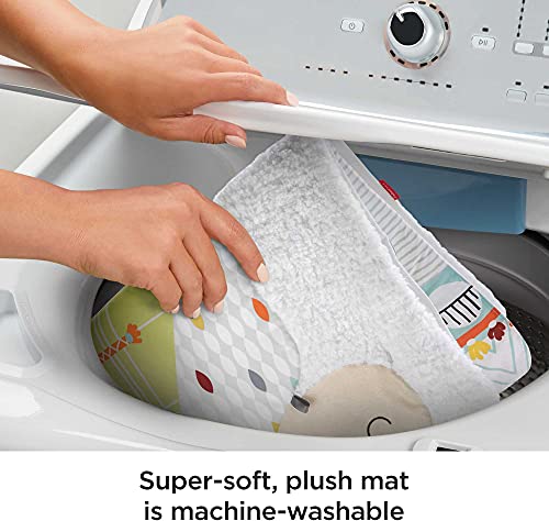 Fisher-Price Deluxe Plush Infant Play Gym