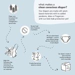 Honest Company Panda Safari Print Diapers, 80 Count