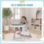 Dream On Me Portable 2-in-1 High Chair, Gray